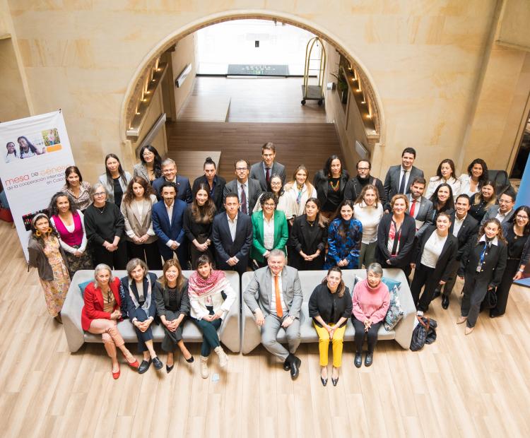 Sesión plenaria de la Mesa de Género de la Cooperación Internacional.